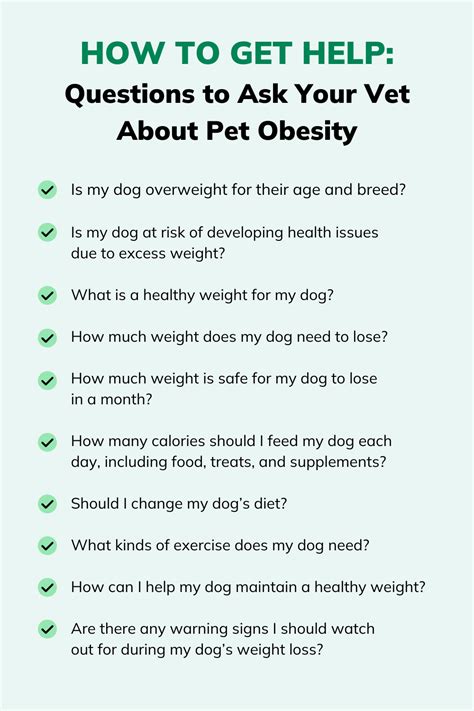 How Heavy Should My Dog Be? | Great Pet Care