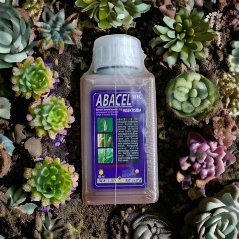 Jual Abacel 18 EC 100 ML Insektisida Kontak Obat Pestisida Abamektin