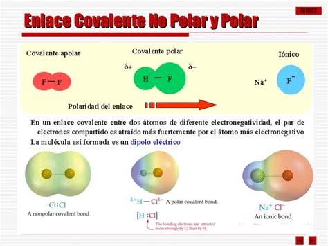 Enlace Químico