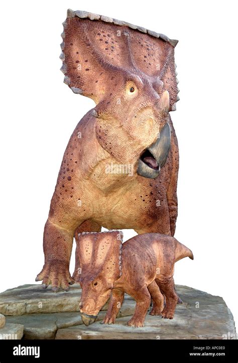 Mother And Baby Dinosaurs Stock Photo Alamy