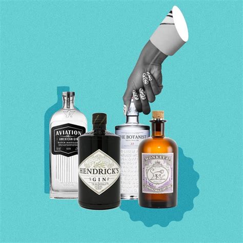 19 Best Gin Brands 2022 - The Best Bottles Of Gin You Can Buy