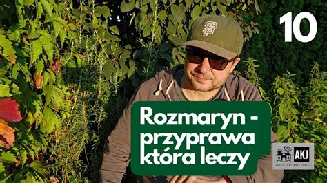 Rozmaryn przyprawa która leczy YouTube