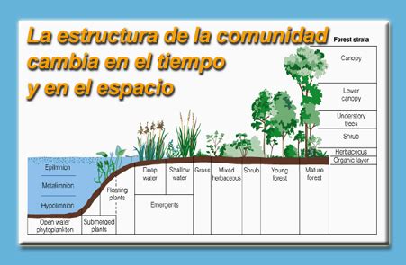 U Comunidades Din Mica De Las Comunidades