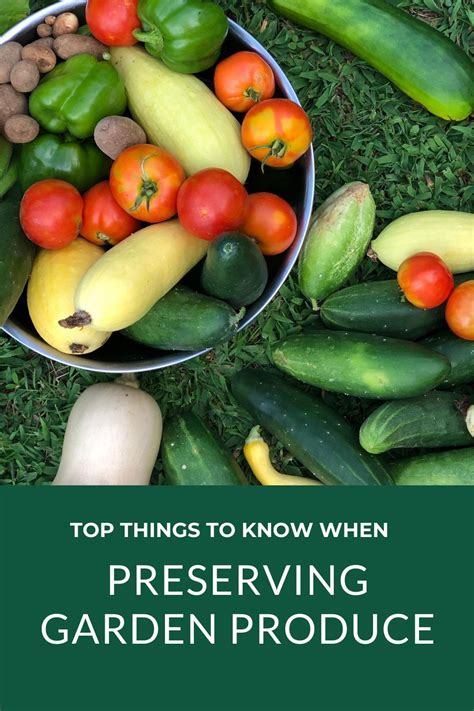 Top Things To Know When Preserving Garden Produce Hobbies On A Budget