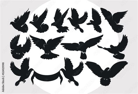 Flying Dove SVG Bundle Dove Svg Pigeon Svg Peace Sign Svg Bird Svg