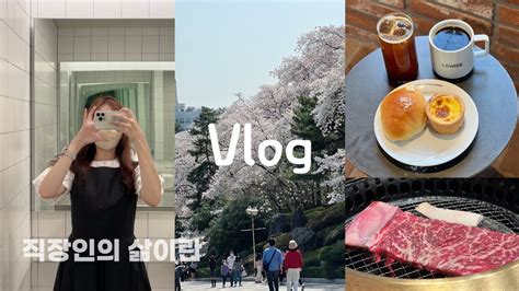 VLOG 직장인 일상 브이로그 회사 일상 먹방 0 데일리룩 갑자기 꺼내본 봄 벚꽃나들이 직장인브이로그