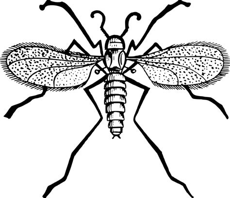 OnlineLabels Clip Art - Gnat 3