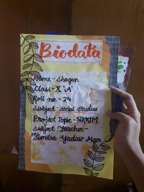 biodata page ideas  project biodata page design  project bio