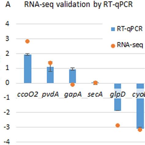 Validation Of Rna Seq Analysis By Rt Qpcr The Results Represent The