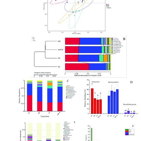 Differences In Gut Microbiota Components In Different Groups Of Mice Download Scientific