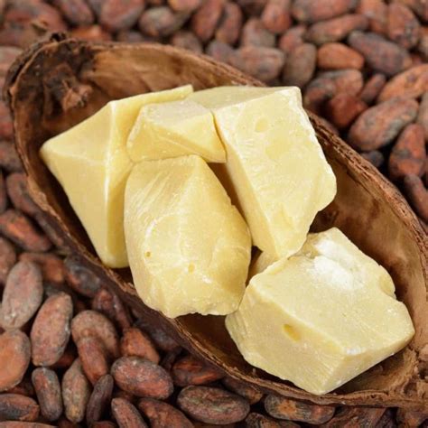 What Is Cocoa Butter And How To Use It Go Get Yourself