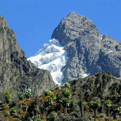 Rwenzori National Park Unesco World Heritage X Uganda Car Rentals