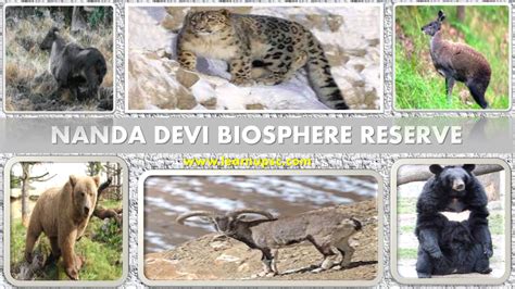 nanda devi biosphere reserve learn upsc