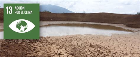 Ods 13 Acción Por El Clima Ayuda En Acción