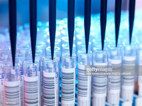 Blood Testing Pcr Foto E Immagini Stock Getty Images