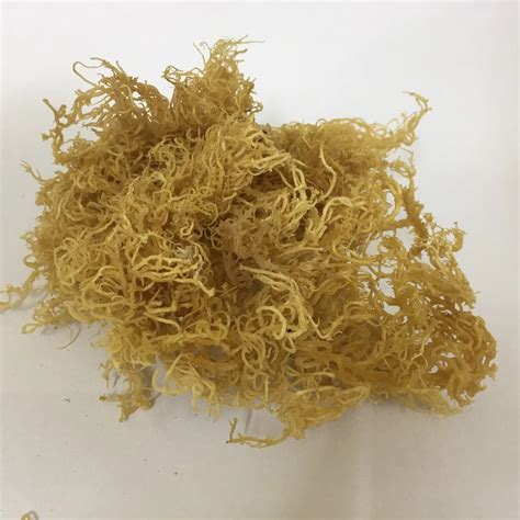 Wholesale Supply Sea Moss Gummies Made From 100 Natural Sea Moss Oem