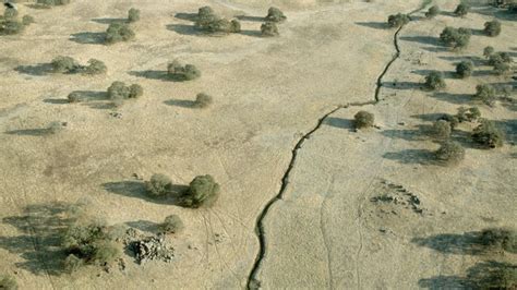 Life's Little Mysteries | Science questions, answered | Live Science