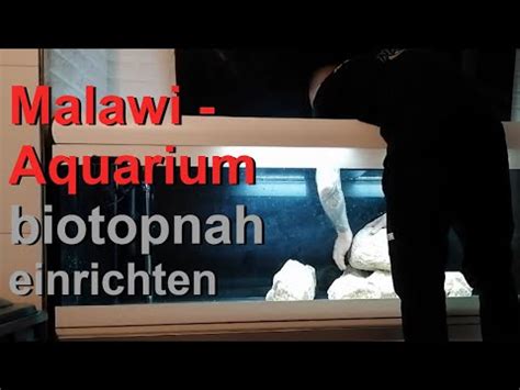 Back To Biotop Ich Mache Mein Malawi Aquarium Neu Youtube