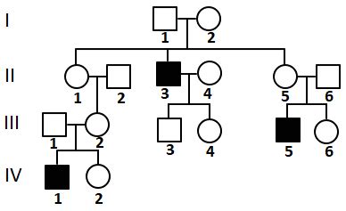 The Trait Shown By Solid Symbols In The Given Pedigree Is MOST LIKELY