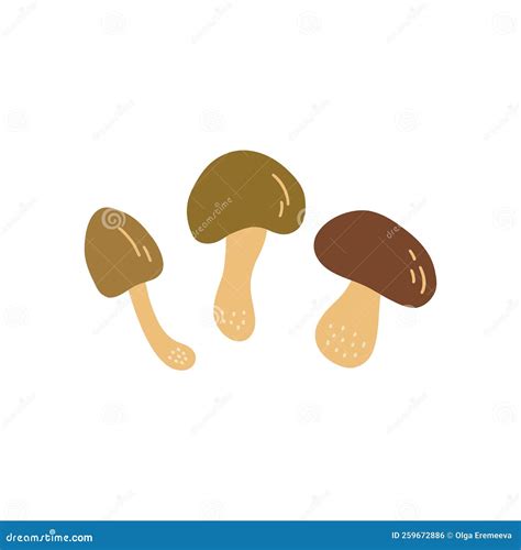 Set Of Edible Mushrooms Vector Hand Drawn Stock Vector Illustration Of Doodle Nutrition