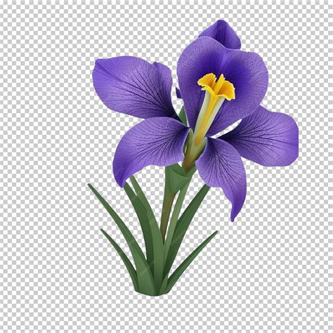 irish flower 5