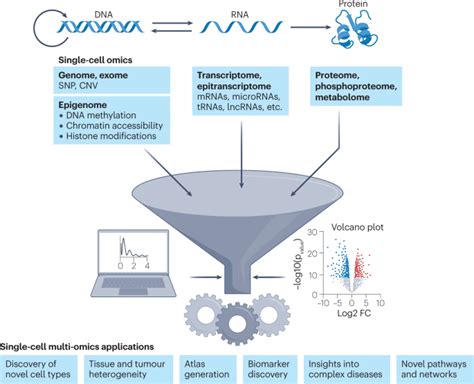 The Technological Landscape And Applications Of Single Cell Multi Omics