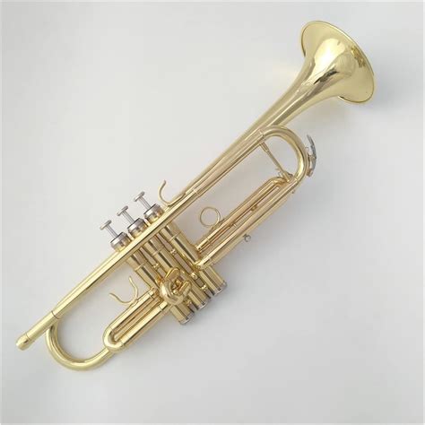 Electrophoresis Gold Standard Trumpet B Flat Brass