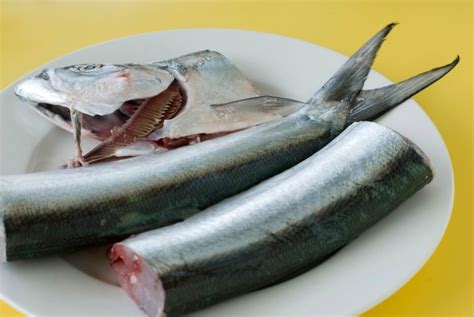 Preparing raw fish - Free Stock Image