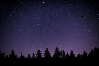 Stars Forest Woods Night Sky Dark Landscape Galaxy Nature