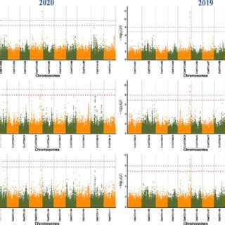 Manhattan Plots Of Gwas For Swt A Sl B And Swd C In