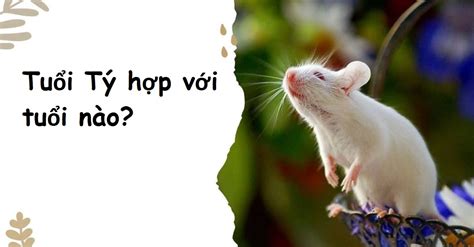 nguoi tuoi ty hop voi tuoi nao trong kinh doanh hon nhan