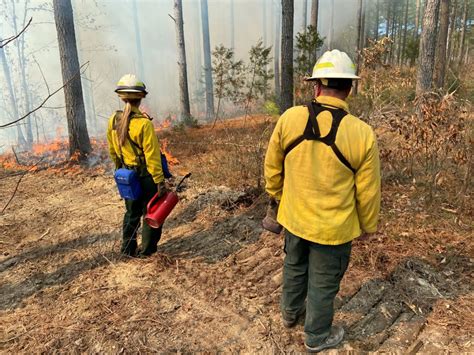 Insurance woes plague efforts to cut growing wildfire risks | Context