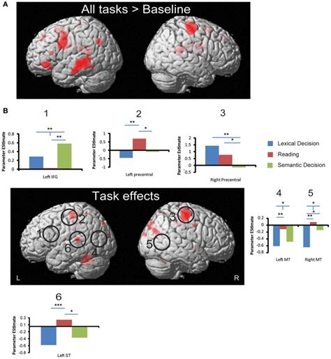 FMRI Activation To All Words And Task Effects A Regions That