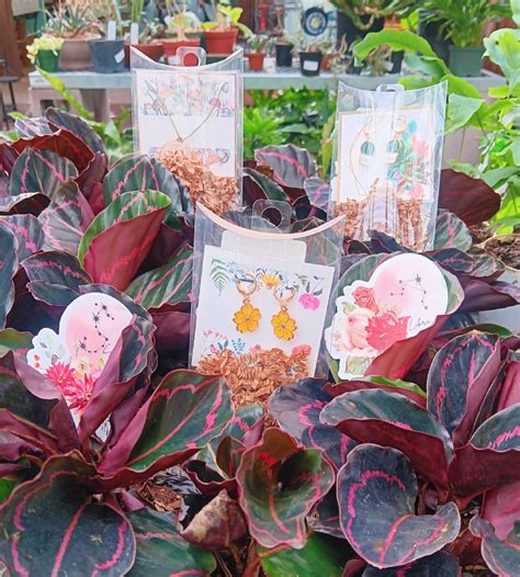 Local experts explain what makes rick's garden center special 8