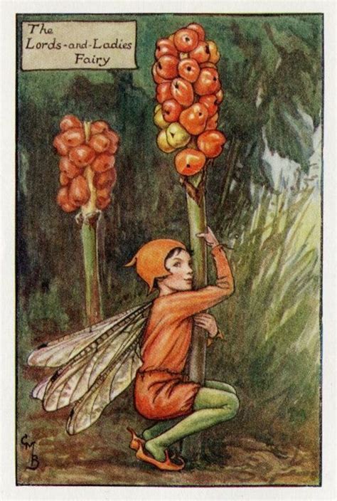 Lords And Ladies Flower Fairy Vintage Print 1930s Cicely Etsy