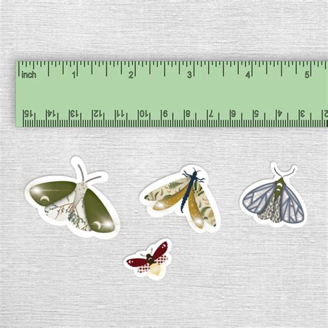 Moth Sticker Set Moth Sticker Pack Cottagecore Aesthetic Moth