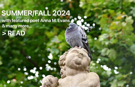 Summer/Fall 2024 | Light