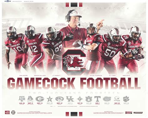 [100+] South Carolina Gamecocks Wallpapers | Wallpapers.com