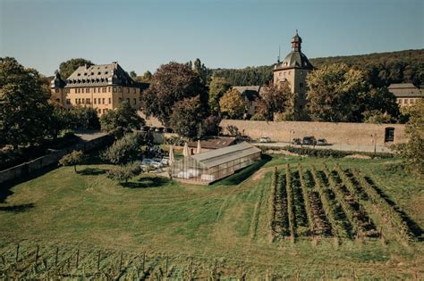 Weingut Schloss Vollrads Riesling Aus Deutschland