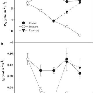 9 Leaf CO Assimilation Rate A And Stomatal Conductance B In J