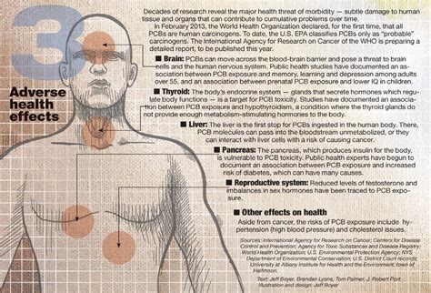 What Are PCBs? | Dredging Up the Truth