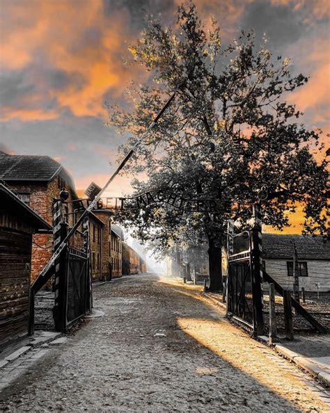 Auschwitz Memorial On Twitter Follow Auschwitzmuseum Please Rt