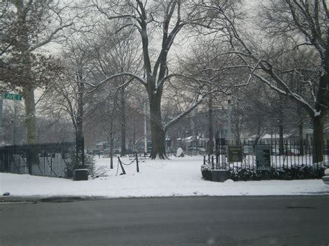 buying and selling flatbush brooklyn new york real estate homes | My