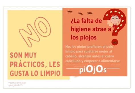 Preguntas Frecuentes Sobre Piojos Pocimas De Salud