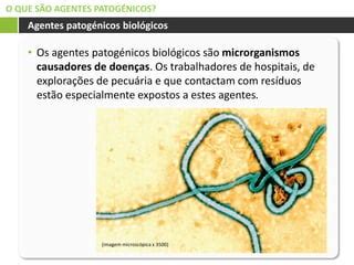O Que São Agentes Patogênicos - 1. Agentes patogénicos.pptx