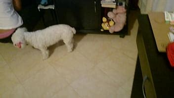 Se Le Ve La Tanga XVIDEOS