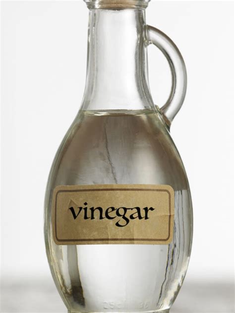 types  vinegar  cleaning farmhouse guide