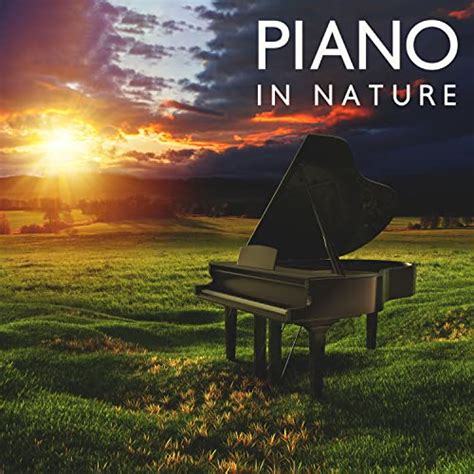 Play Piano in Nature: Meditation and Relaxation Pieces for Spa, Study ...