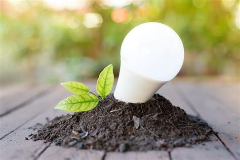 Gebruik Led Verlichting Om Jouw Huis Duurzaam En Energiezuinig Te Maken