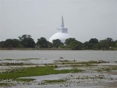 Anuradhapura - Ruwanwelisaya Stupa (4) | Anuradhapura | Pictures | Sri ...